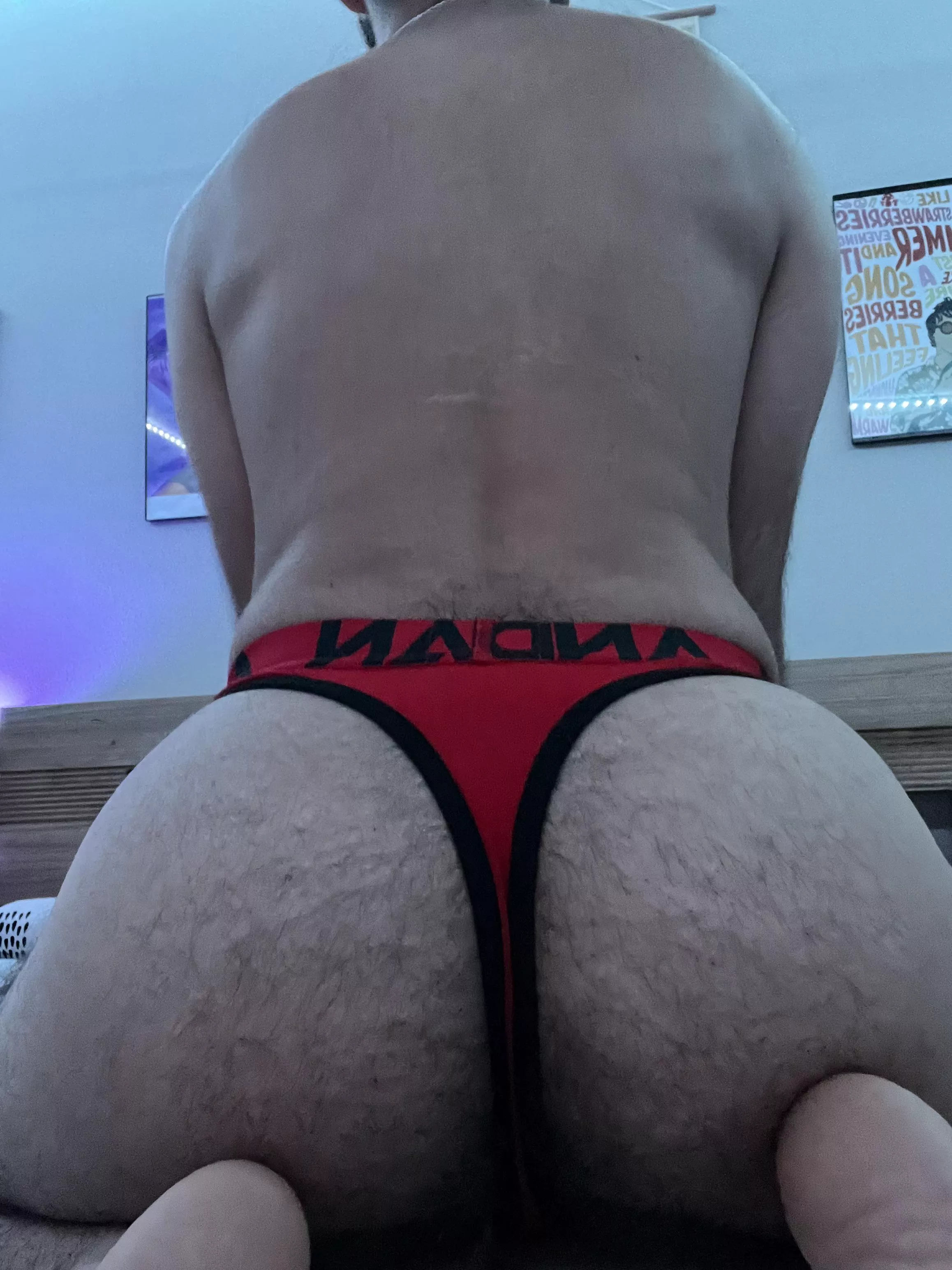 happy hump day
