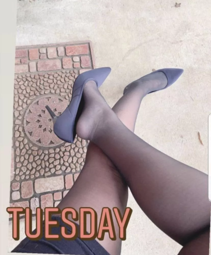 Happy Tuesday!