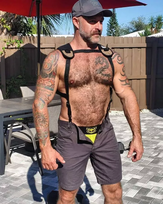 harnessed