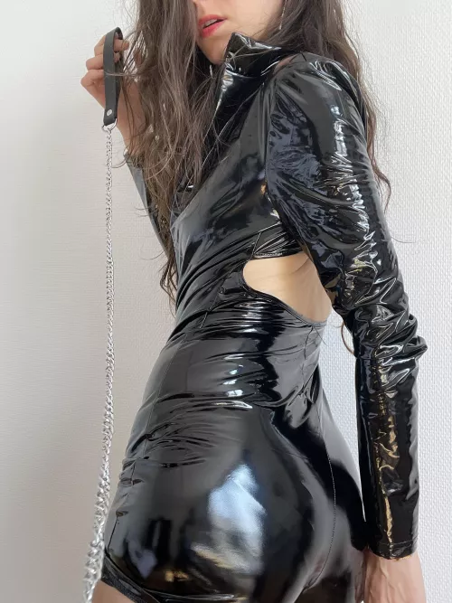 Have you ever been walked to the park by such a shiny domme ?
