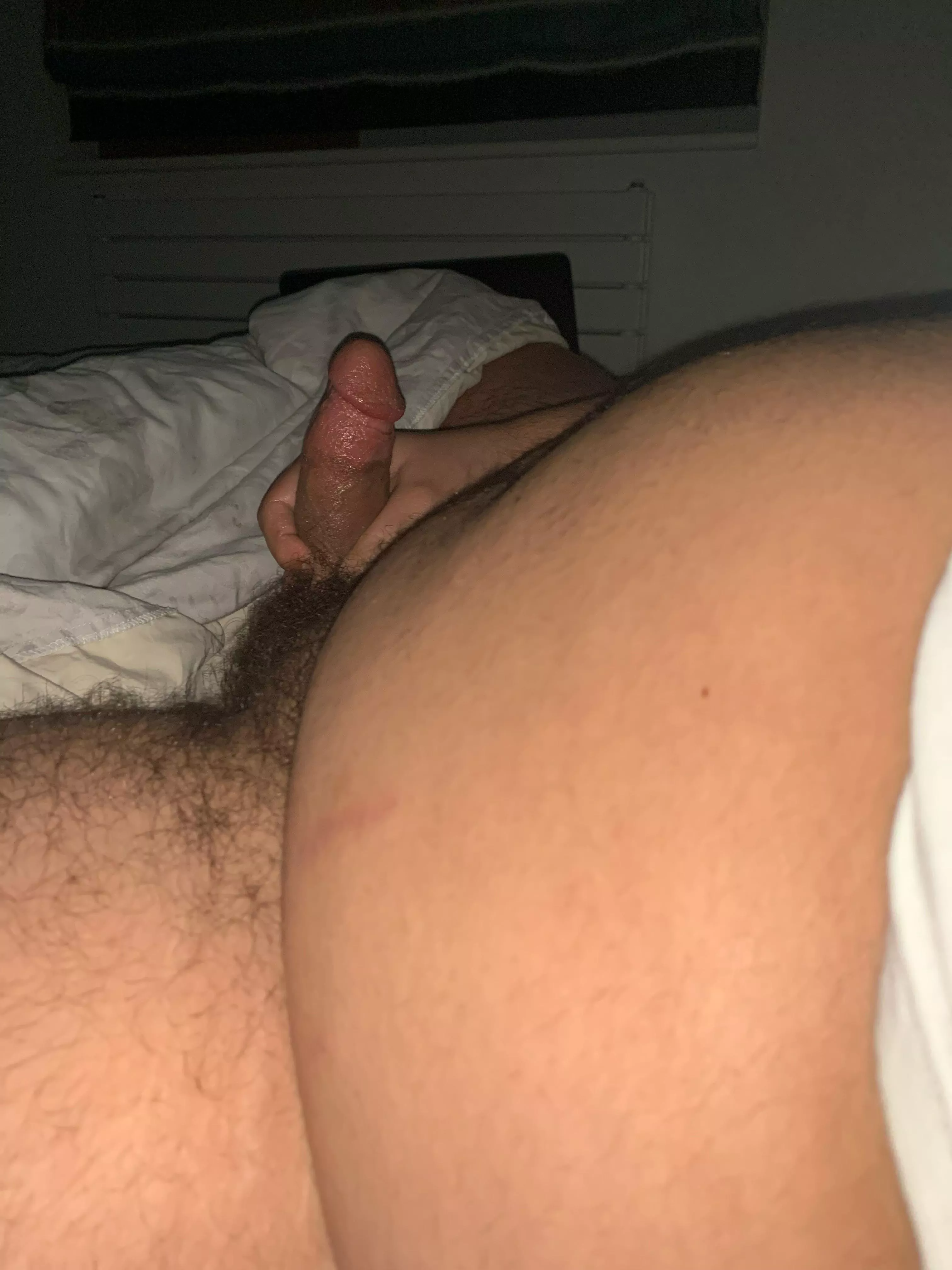 Hefty young bear