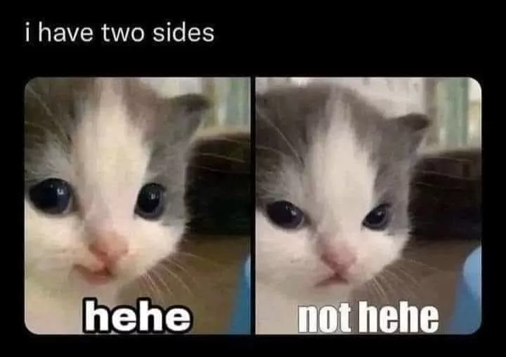 hehe 😼