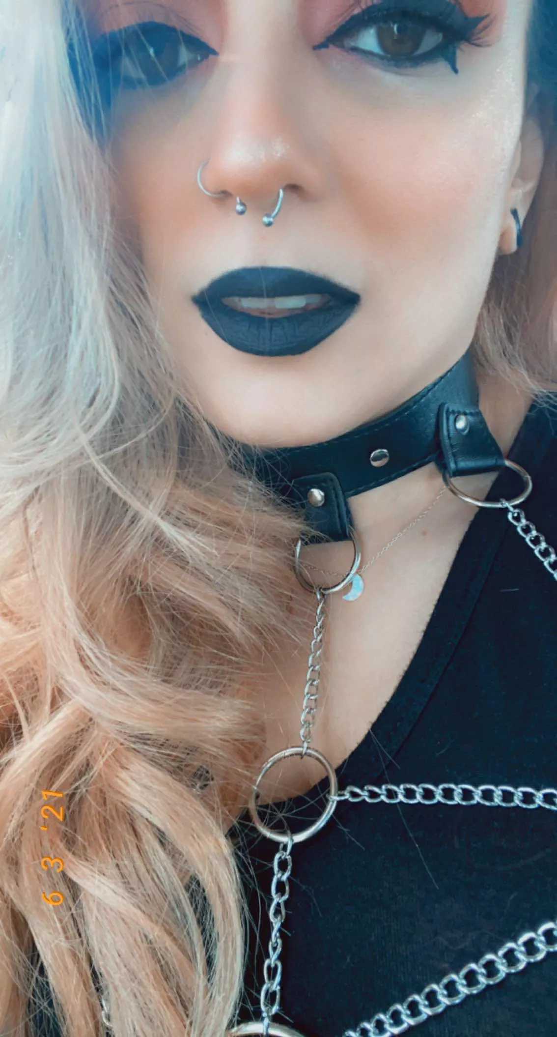 Hello 🦇