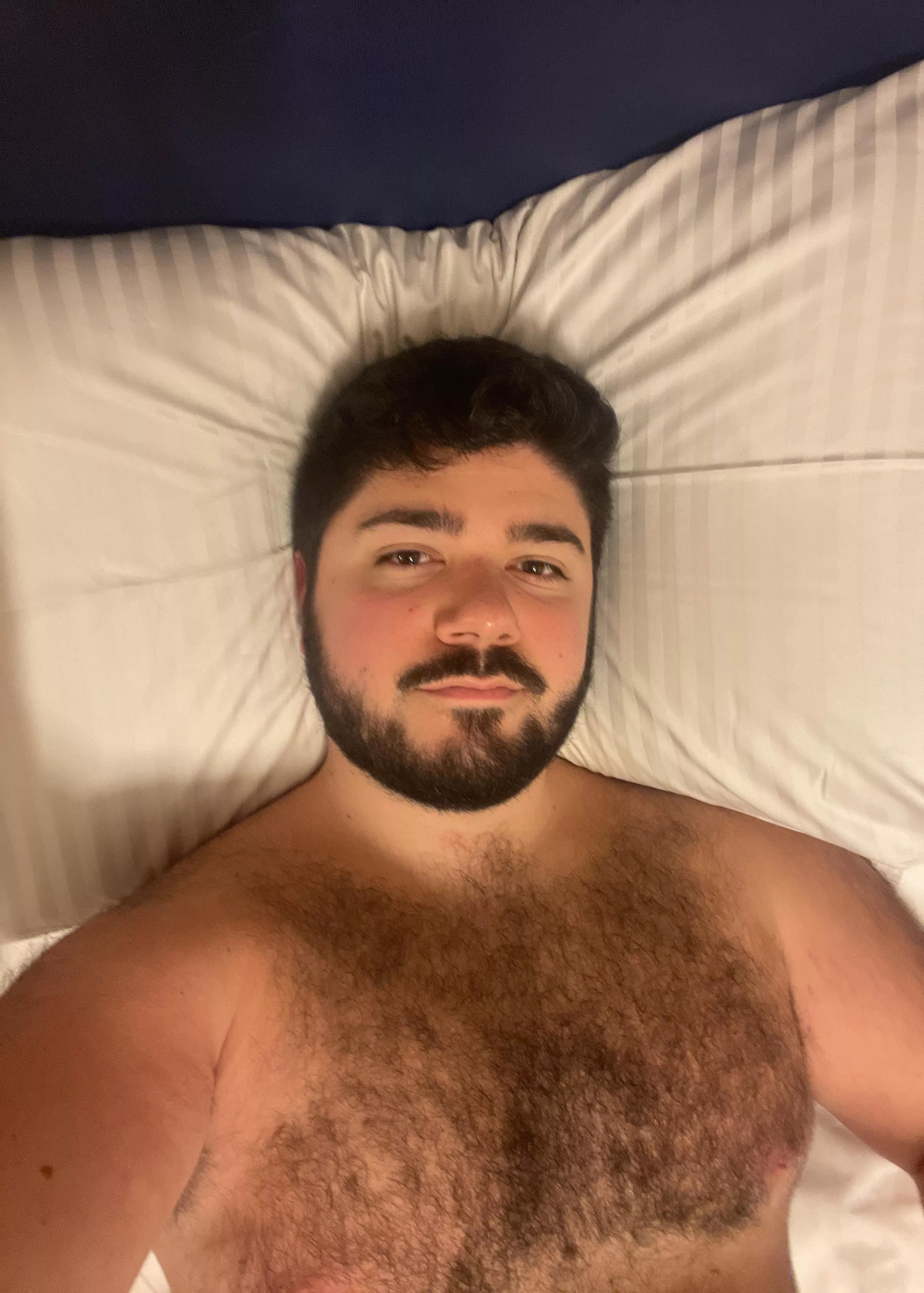 Hello boys! 🐻