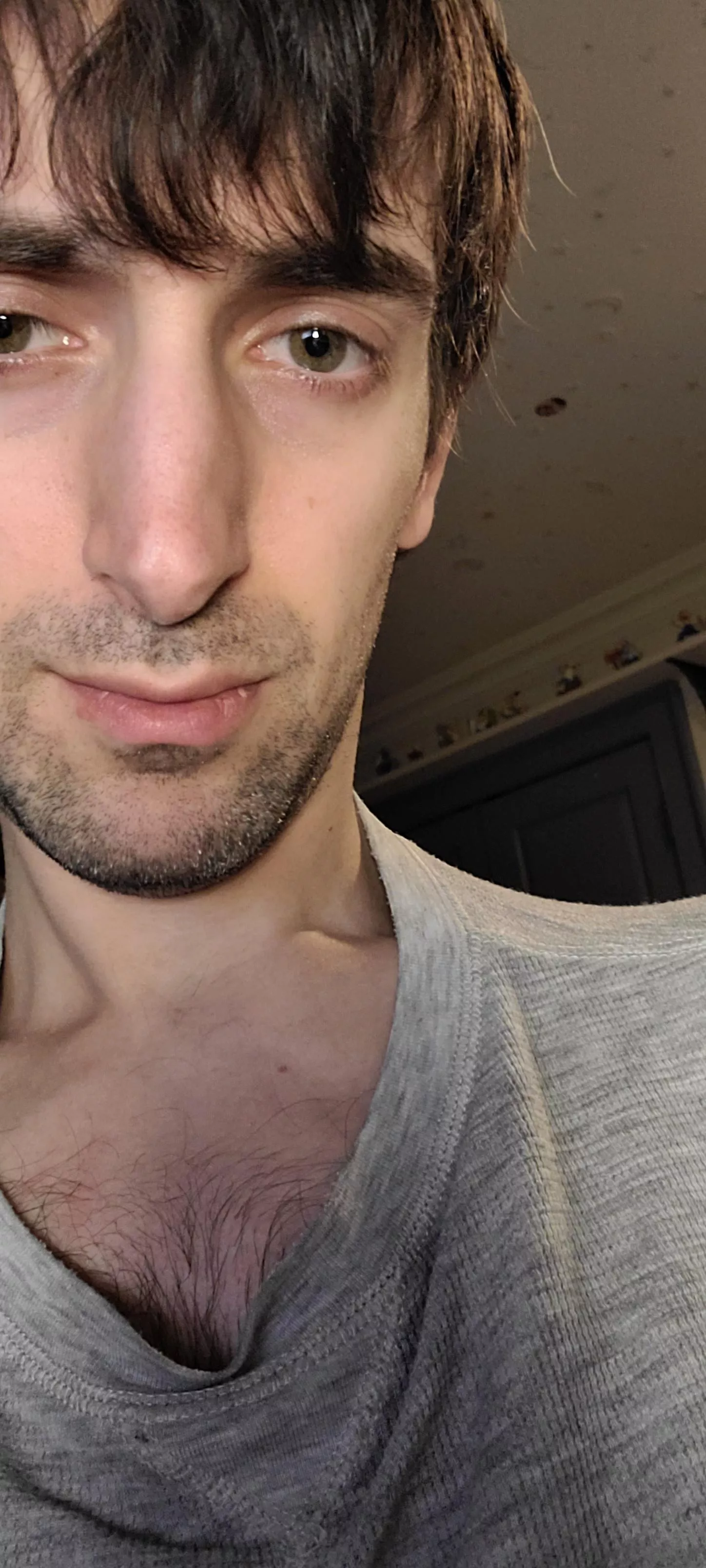 hello gay bros