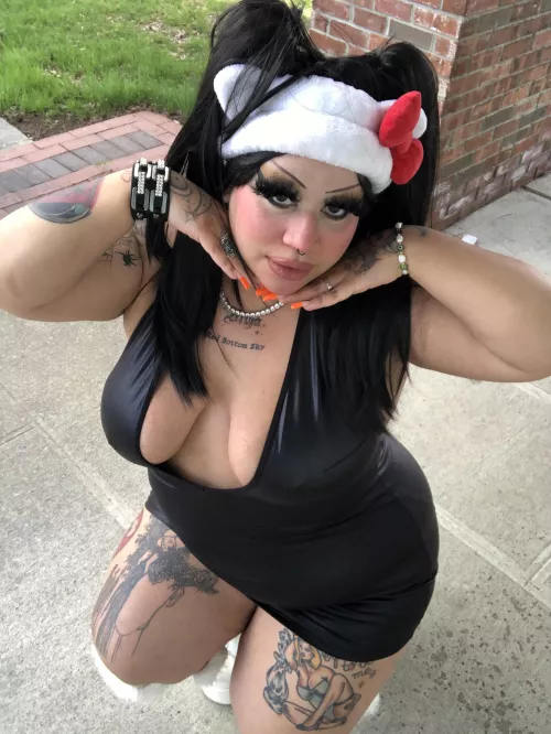 Hello kitty kitten 🐾