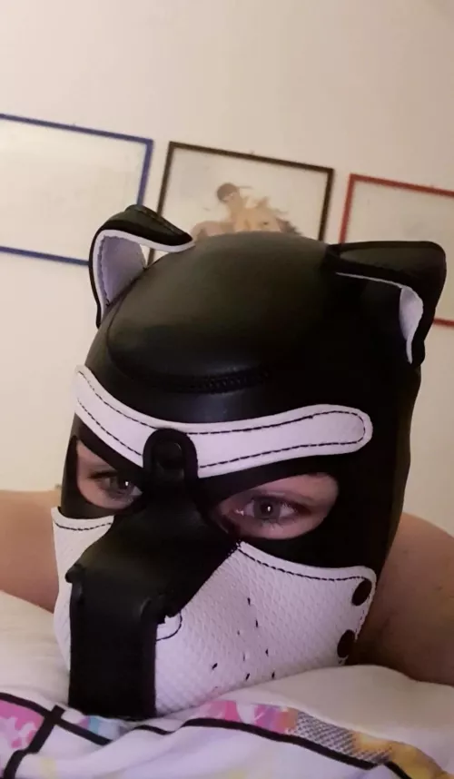 help me... I need some cuddles😶