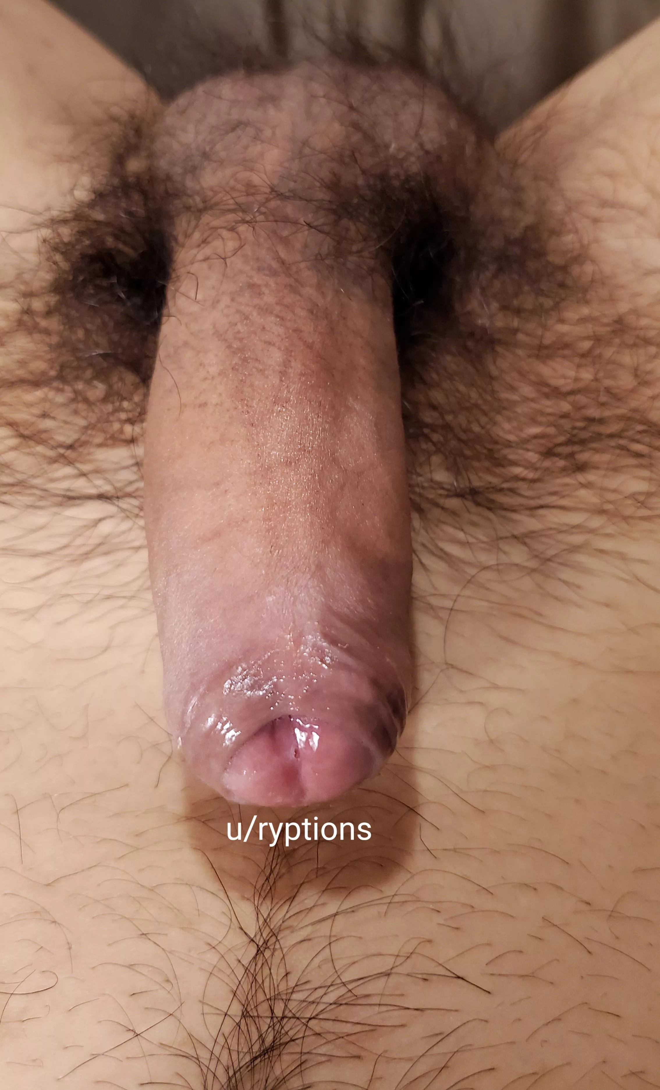 Help me with my wet foreskin 💧