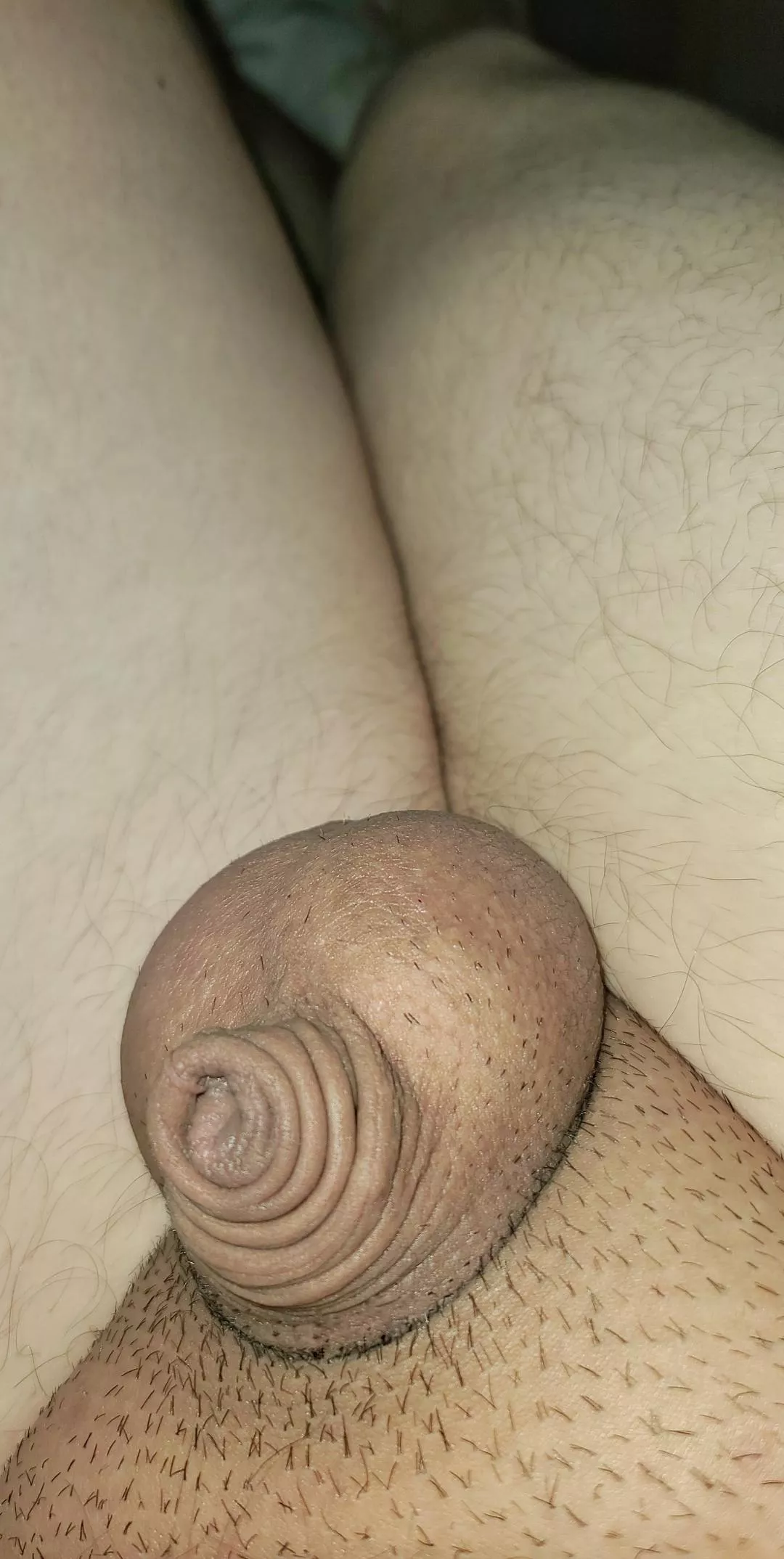 heya [29]
