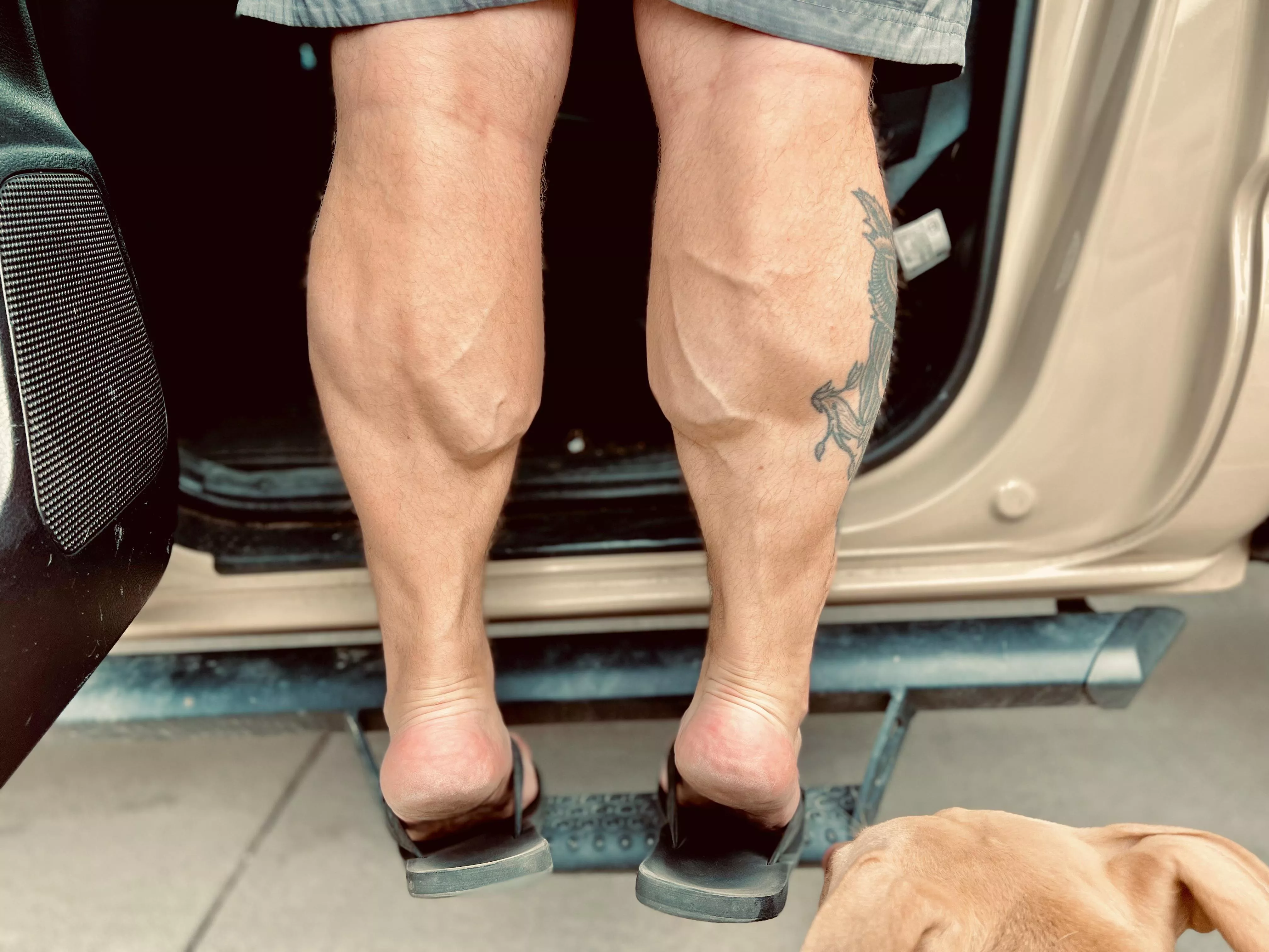 Hi everyone! I’m new here and I’m hoping someone wants to worship these bad boys 🥵 onlyfans.com/beefybearcalves Hi everyone! I’m new here and I’m hoping someone wants to worship these bad boys 🥵 onlyfans.com/beefybearcalves