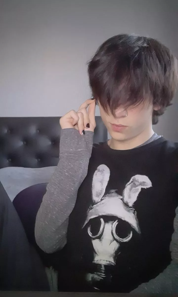 Hi 🐰