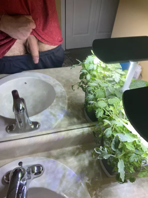 Hiding behind the plants.