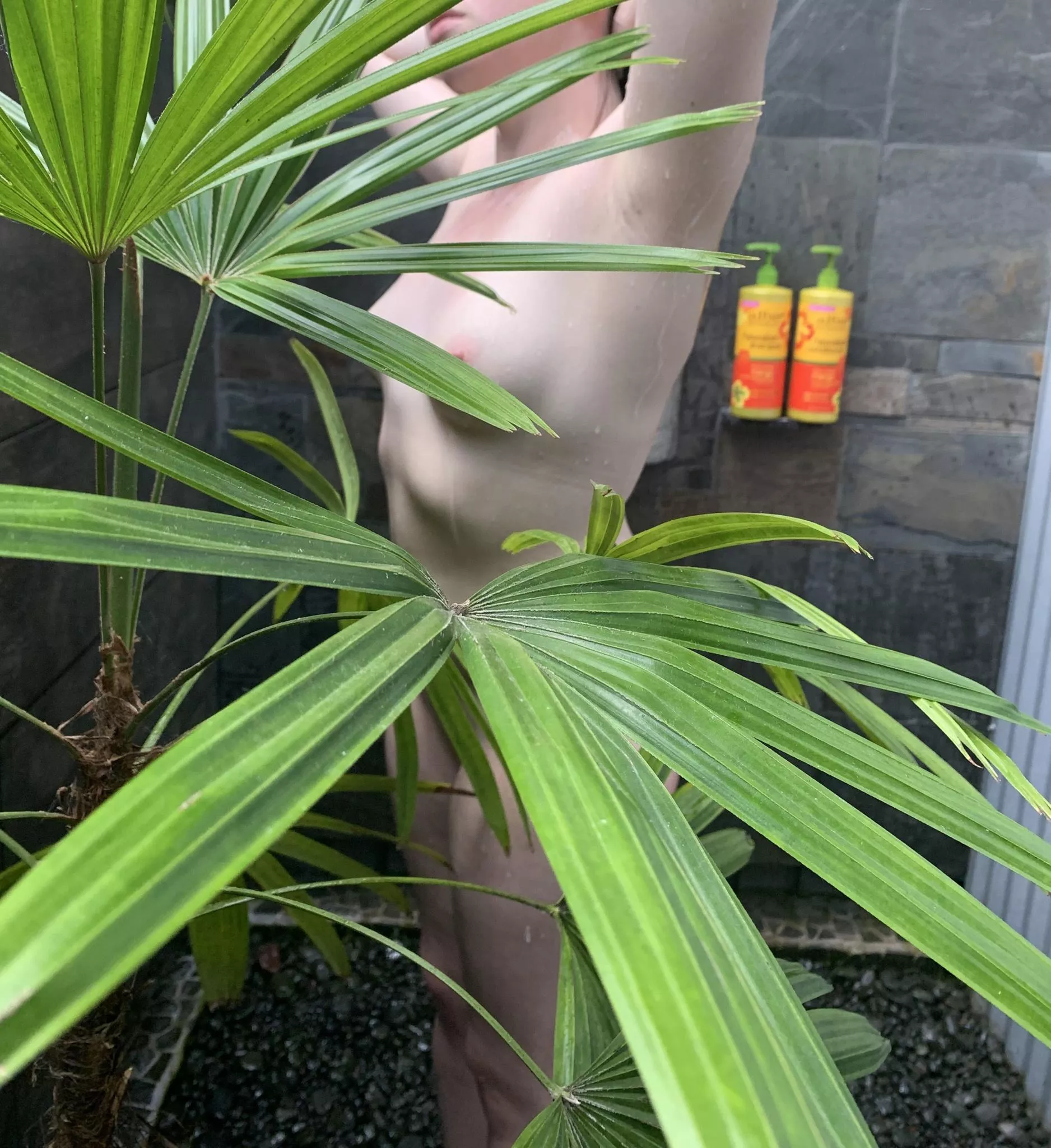 Hilo, Hawaii