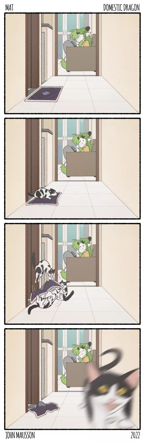 His name is Pierre 🐱