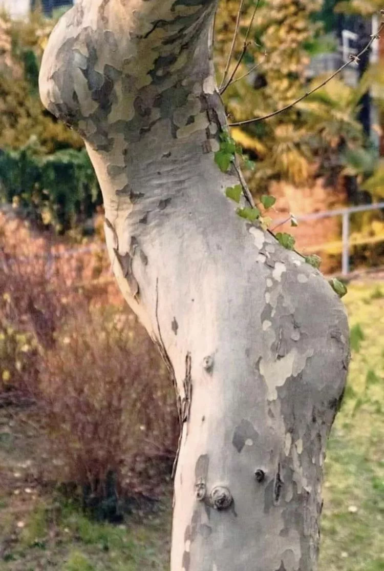 Hmmmmmmmm