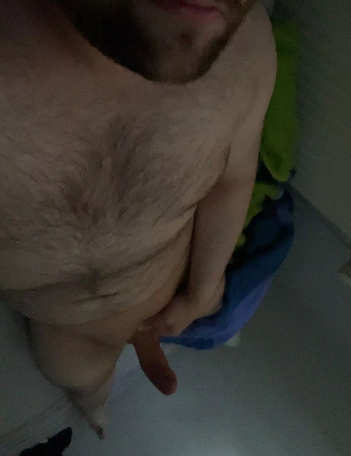 Hola, wanna cuddle?