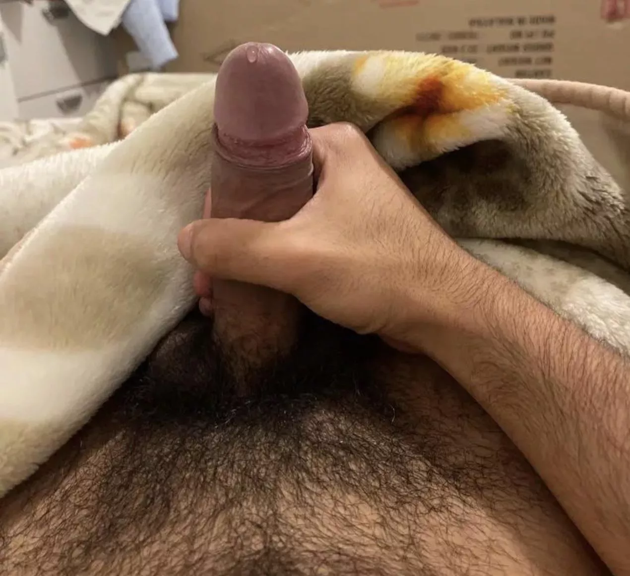 Hola🔥I’m a Mexicano grad student struggling to make ends meet so I started an OF. Support education and get your brown dick and ass at the same time 💋. Link in bio. Hola🔥I’m a Mexicano grad student struggling to make ends meet so I started an OF. Support education and get your brown dick and ass at the same time 💋. Link in bio.