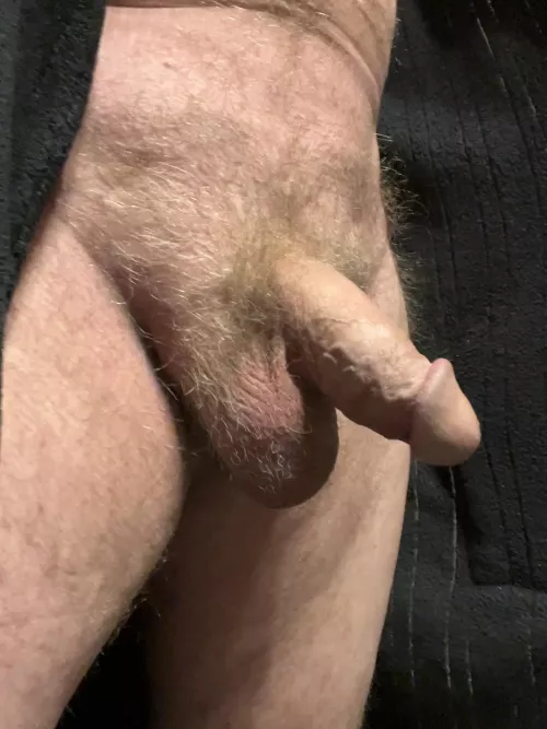 Hope you enjoyed your day (54)