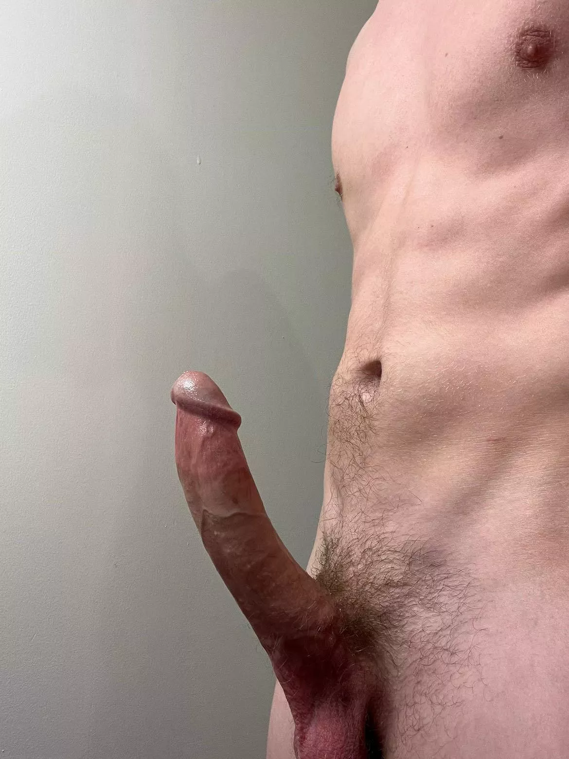 Horned bull🐂