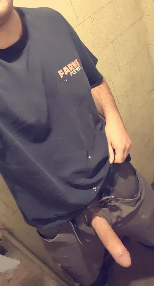 Horny at work today, thought I'd share