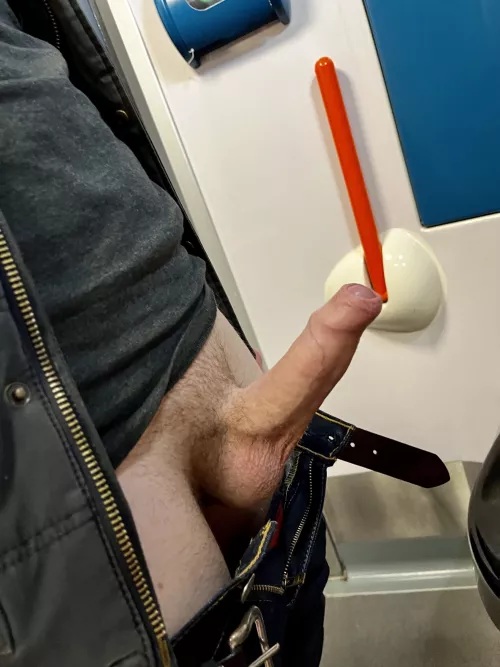 Horny on the train, might as well take a pic of my uncut cock