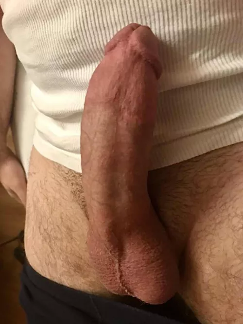 How about a ride on my morning wood?