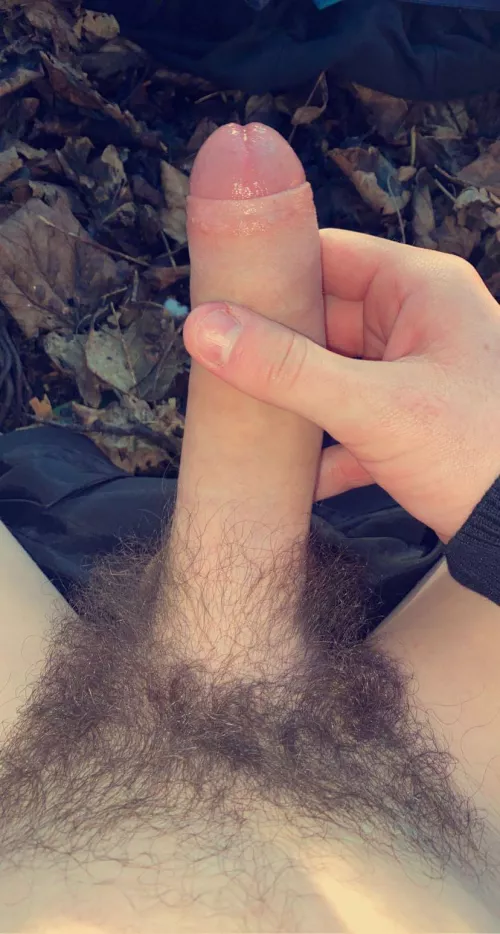 How would you feel seeing this on your daily walk