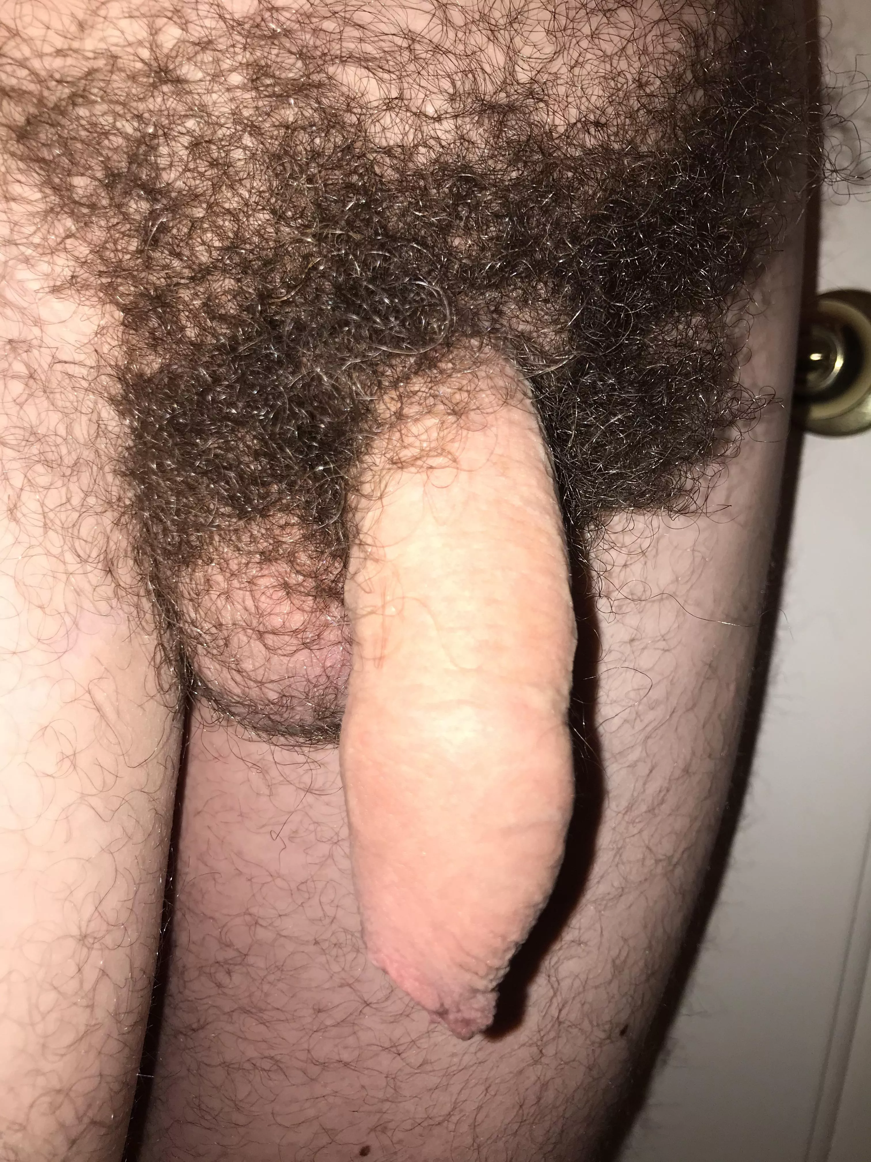 Howdy