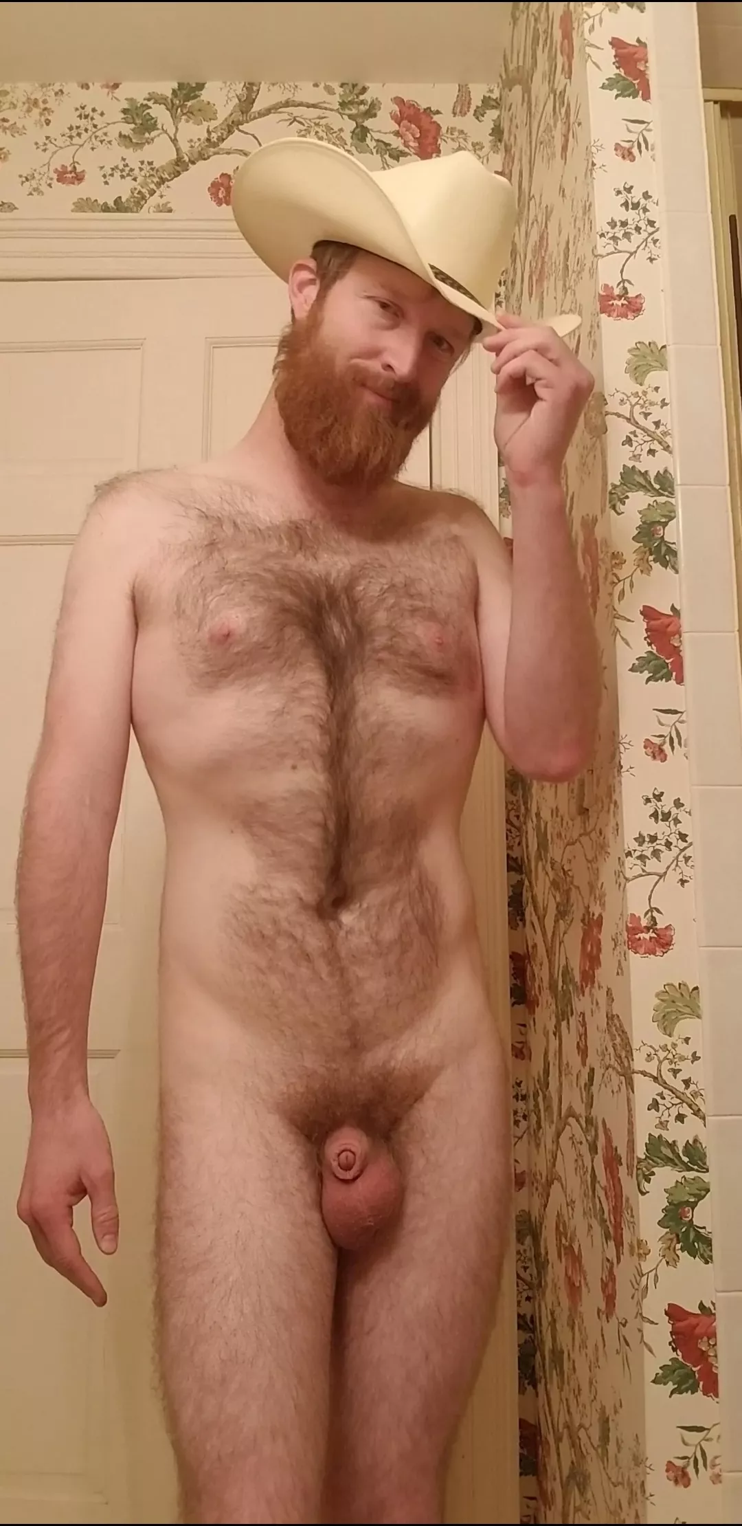 howdy yall!