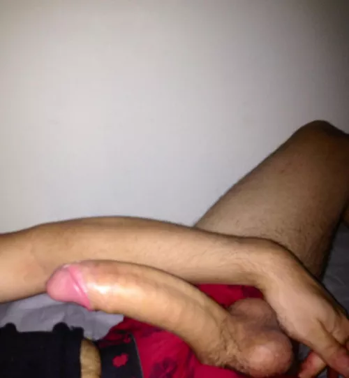 huge white horsecock