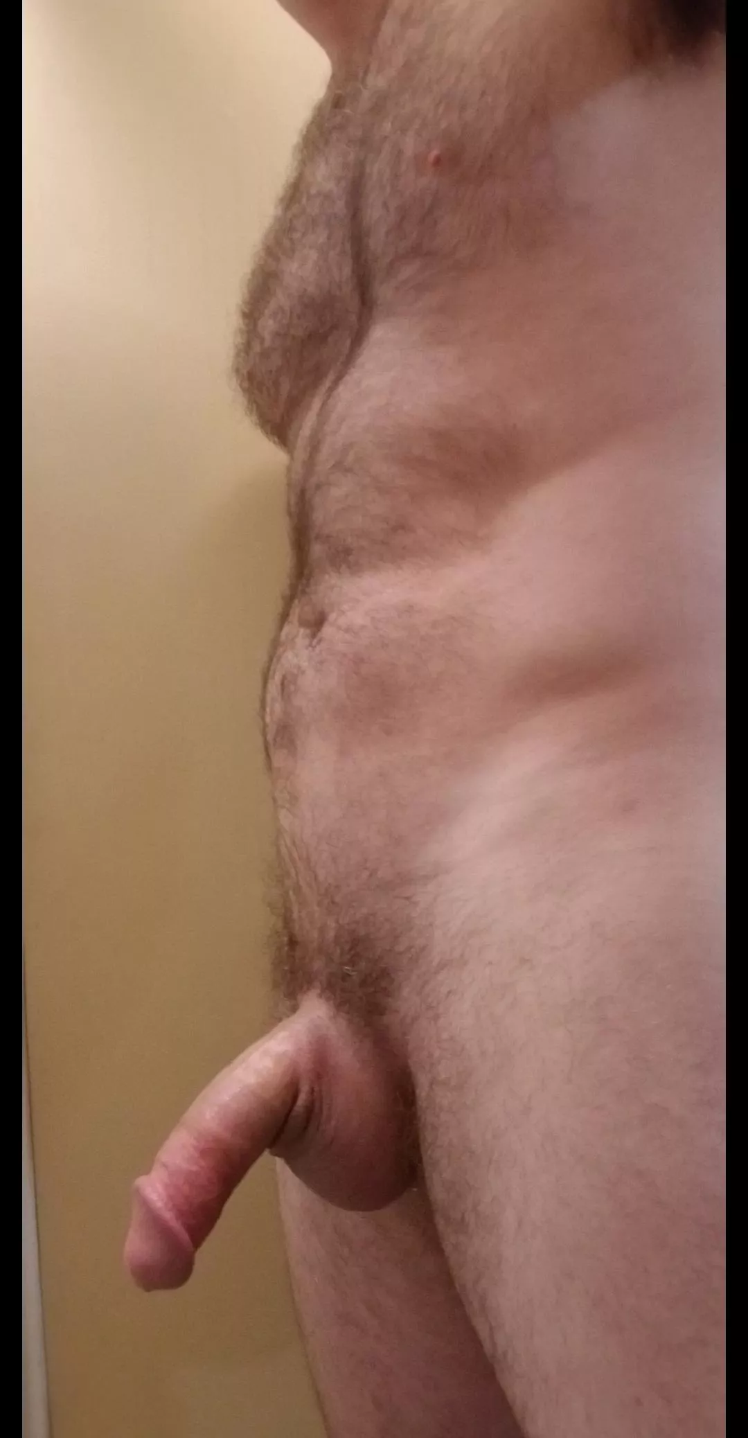 hump day [38]