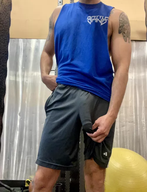 Hung like an 🐘(M)