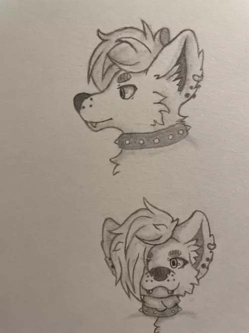 I added shading to the original and drew the front perspective