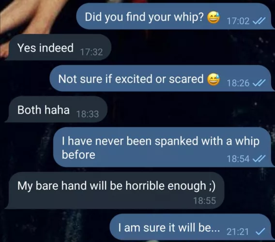 I am super excited, but how does a whip feel like? Can someone tell me please 😅