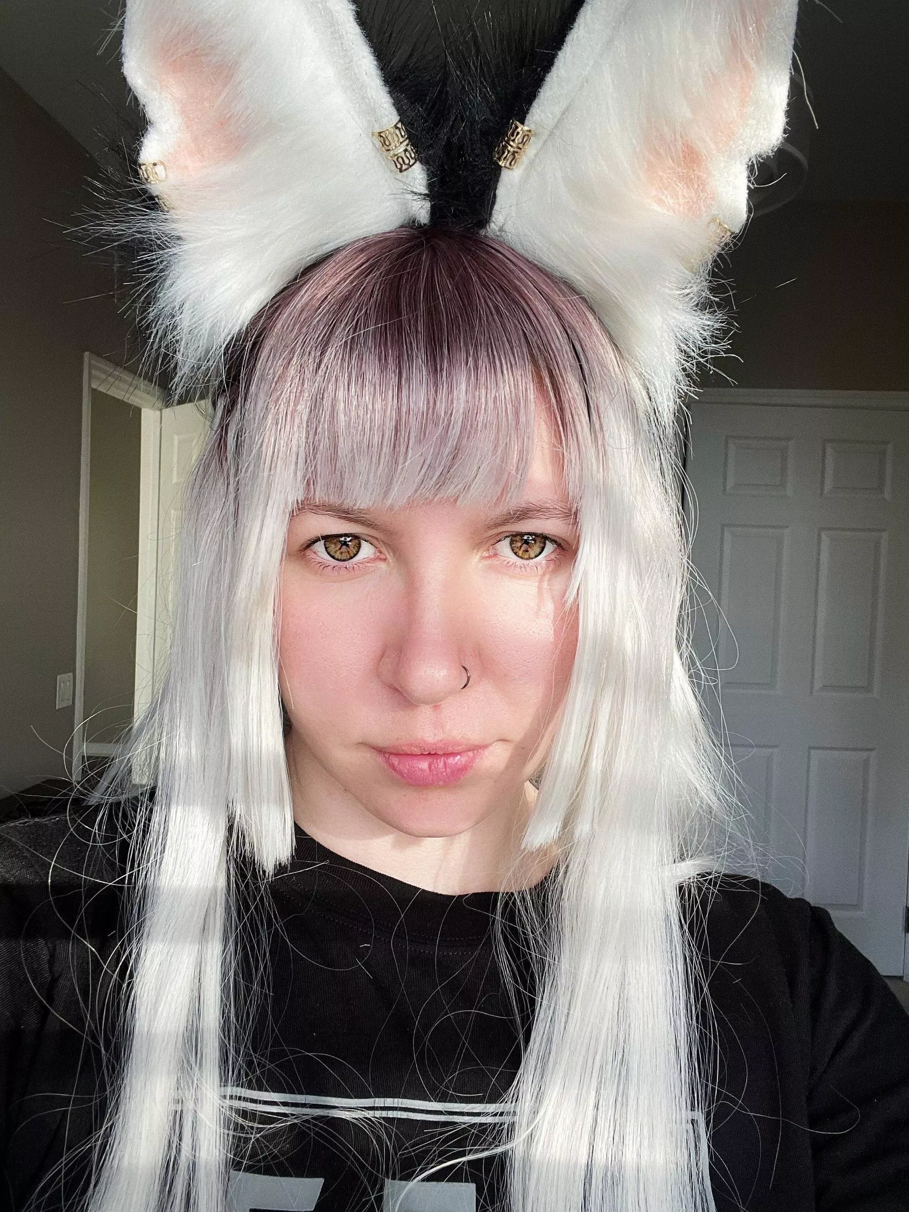 I bite 🦊