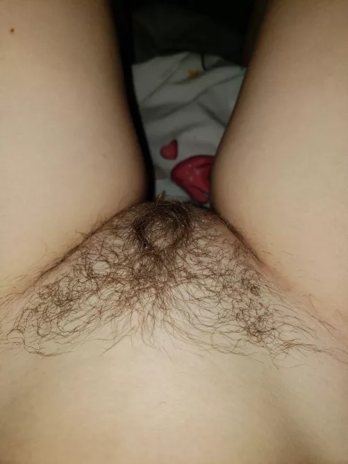 I can't stop admiring my bush🤤