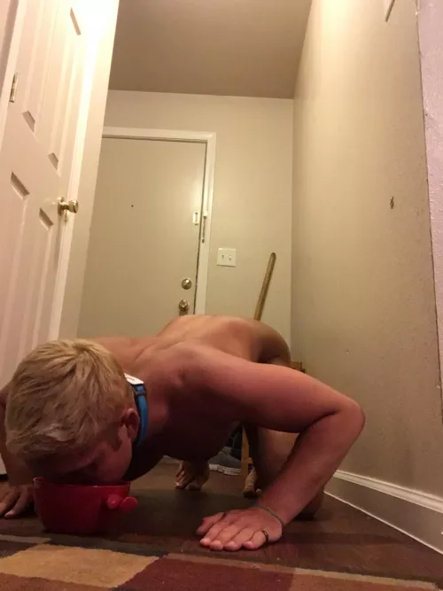 I don’t care what anyone says! This is the best way to eat & drink 🐶