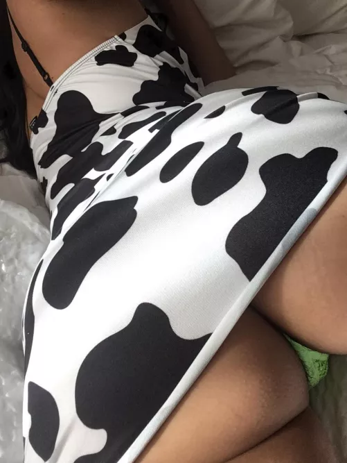 I don't say meow ~ 🥺