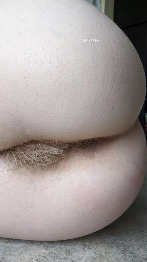 I don't shave my ass, or any part of my body!