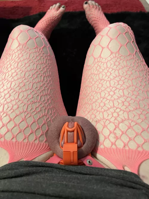 I enjoy variety! So I put on different cage almost every day. Or should I keep this one on for longer?🤔