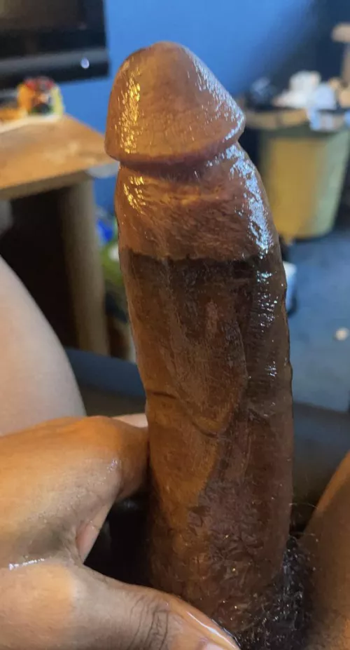 I got interrupted shortly after this, I was very embarrassed 🤦🏾‍♂️