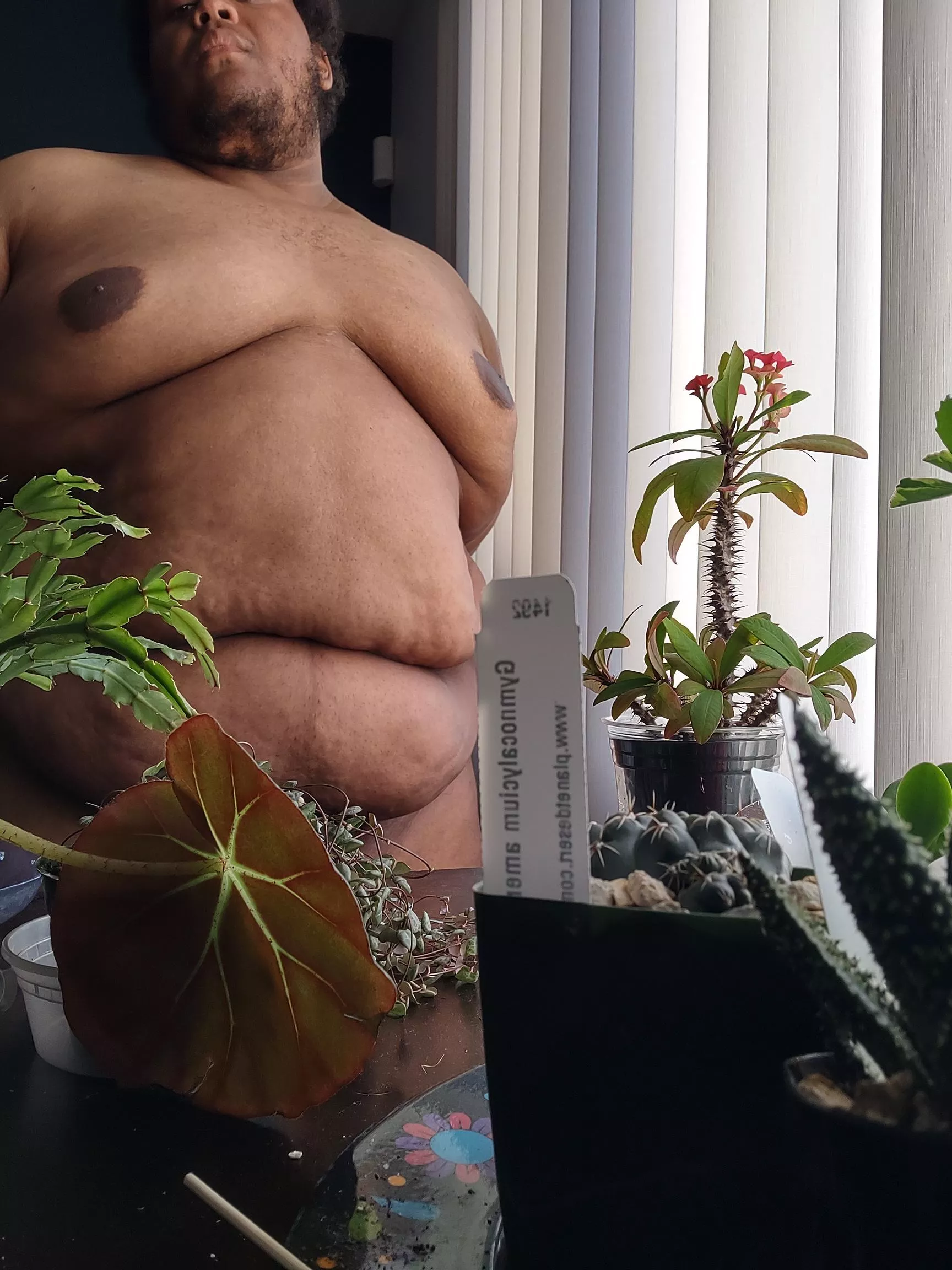 I grow plants