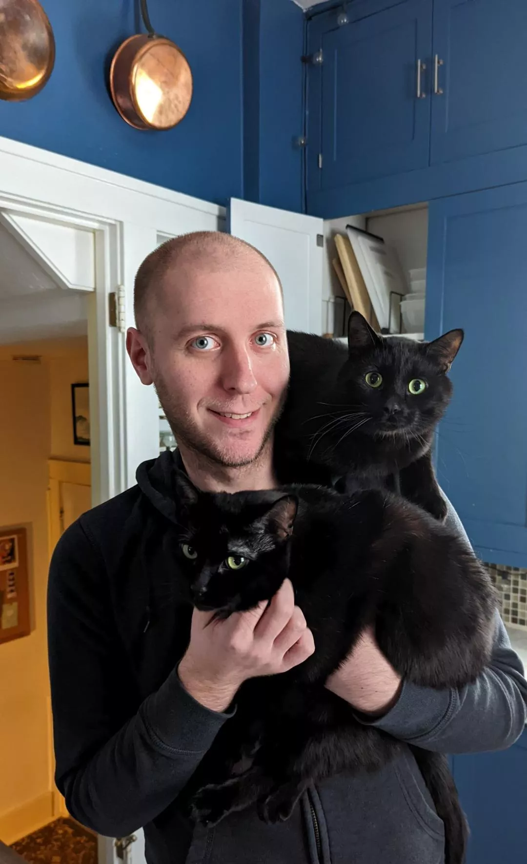 I has kitties