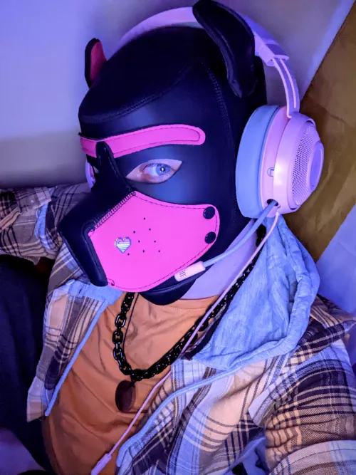 I have been in hospital for a while and I'm so glad to be back home now with my hood !