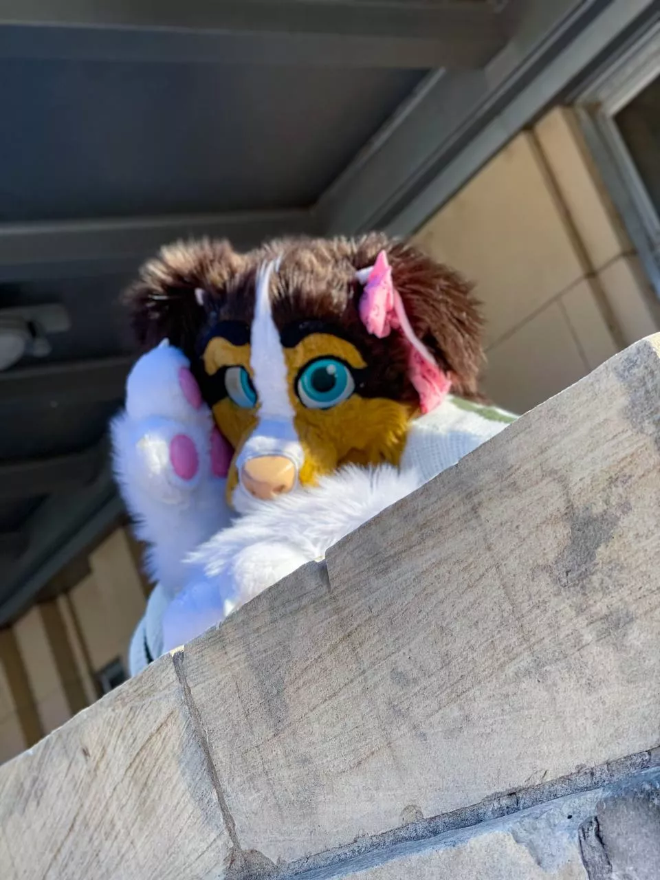 I heard you have snacks! 👀 you know you wanna share~