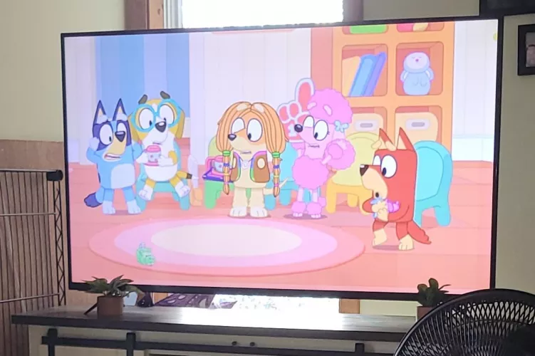 I just found Bluey and is soooo cute!