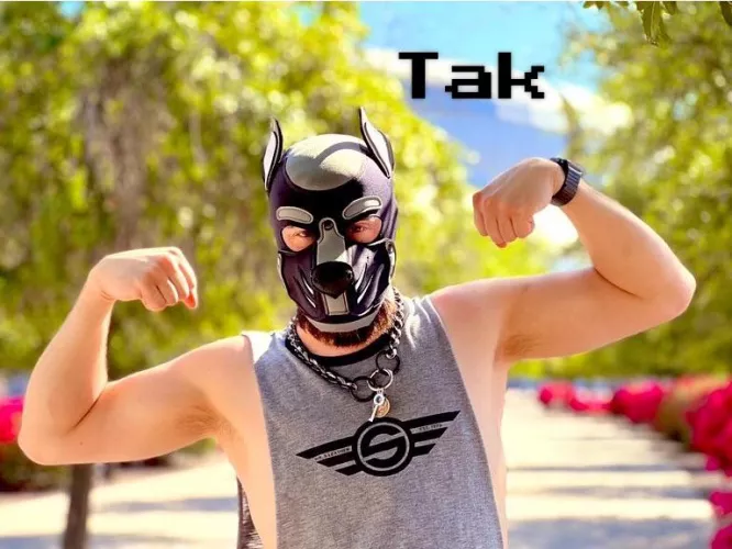 I just got my first custom Mr S hood! I’ll need to take some more pictures in the bedroom now.