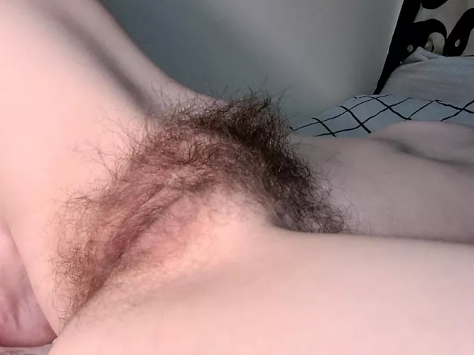 I know my pussy is too hairy for the average person..so I'll post here instead.. 😅