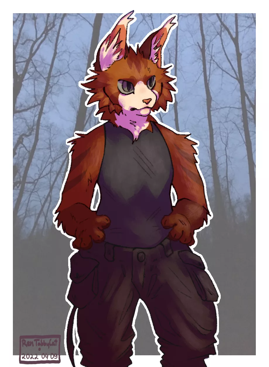 I like this one i did very nice lookin very snazzy