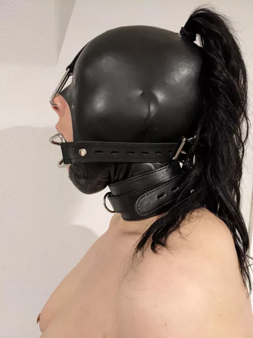 I love the way I look in my latex hood with my new nose hook!